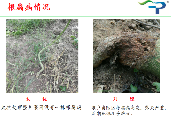 1513319338512916FESN.png blob.png