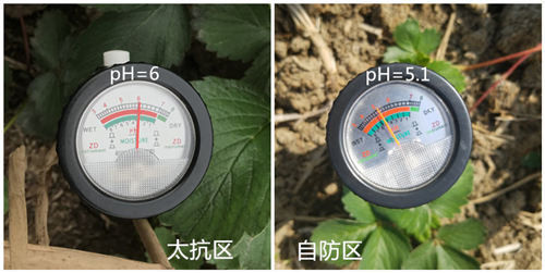 1530085085651247WVPe.png 圖片12.png