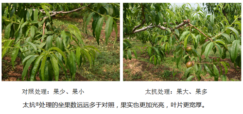 15312151817827342aHW.png 圖片15.png