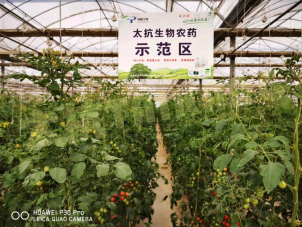 15748190095285213wHe.png blob.png